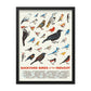 Backyard Birds of the Midwest Poster