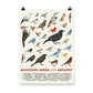 Backyard Birds of the Midwest Poster