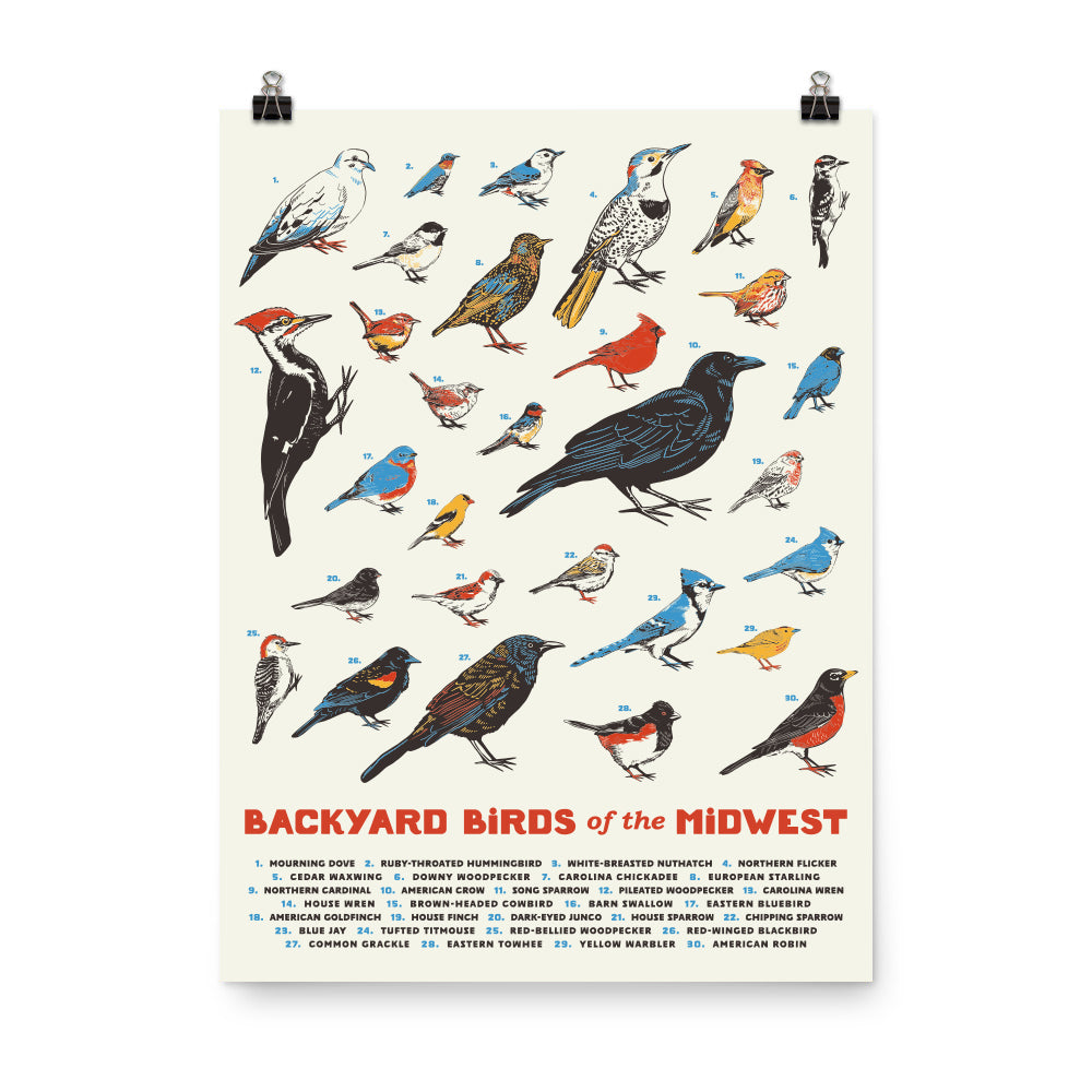 Animal Posters