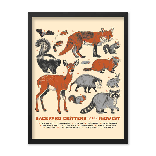 Backyard Critters of the Midwest Poster