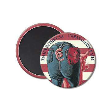 Barn in the USA Magnet