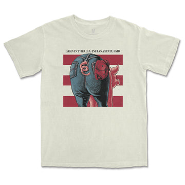 Barn in the USA Tee ***CLEARANCE***