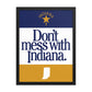 Don't Mess With Indiana Poster