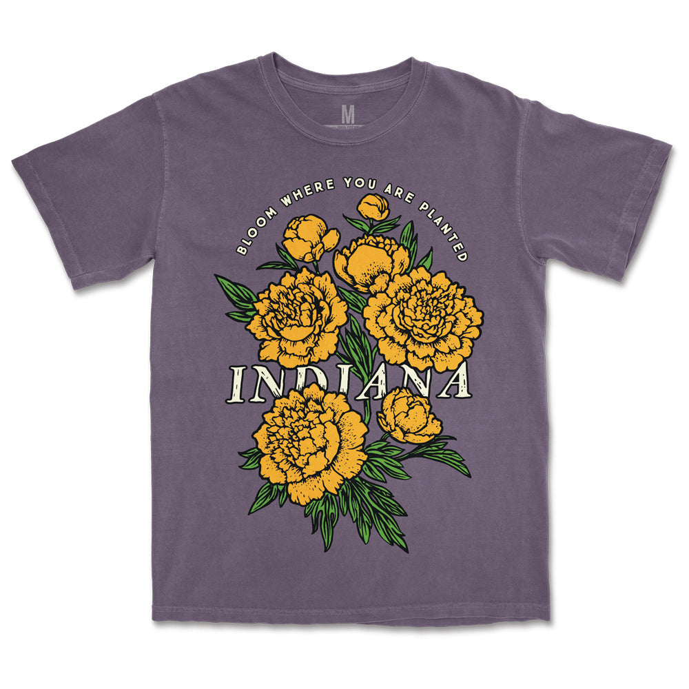IN Bloom Design Collection
