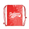 ISF Baseball Swoosh Sport Bag