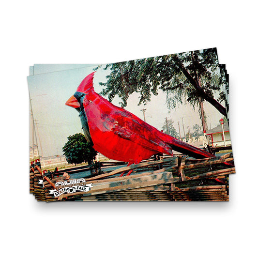 OSF Vintage Cardinal Postcard