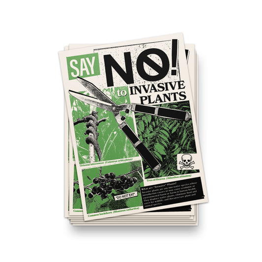 Say No to Invasive Plants Sticker