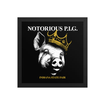 Notorious P.I.G. Poster