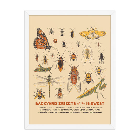 Backyard Insects of the Midwest Poster - United State of Indiana