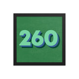 260 Area Code Poster