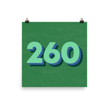260 Area Code Poster