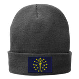 Torch and Stars Fleece-Lined Beanie